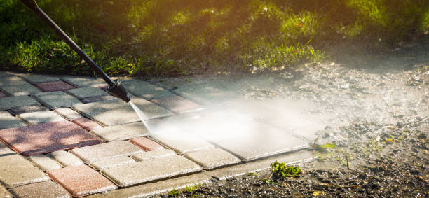 Best Solar Panel Cleaning  in Union Park, FL