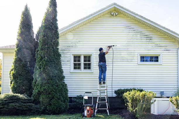 Best Animal Enclosure Cleaning  in Union Park, FL