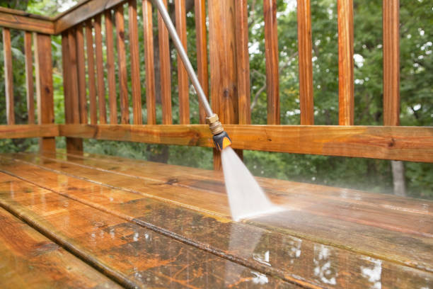 Best Gutter Cleaning  in Union Park, FL